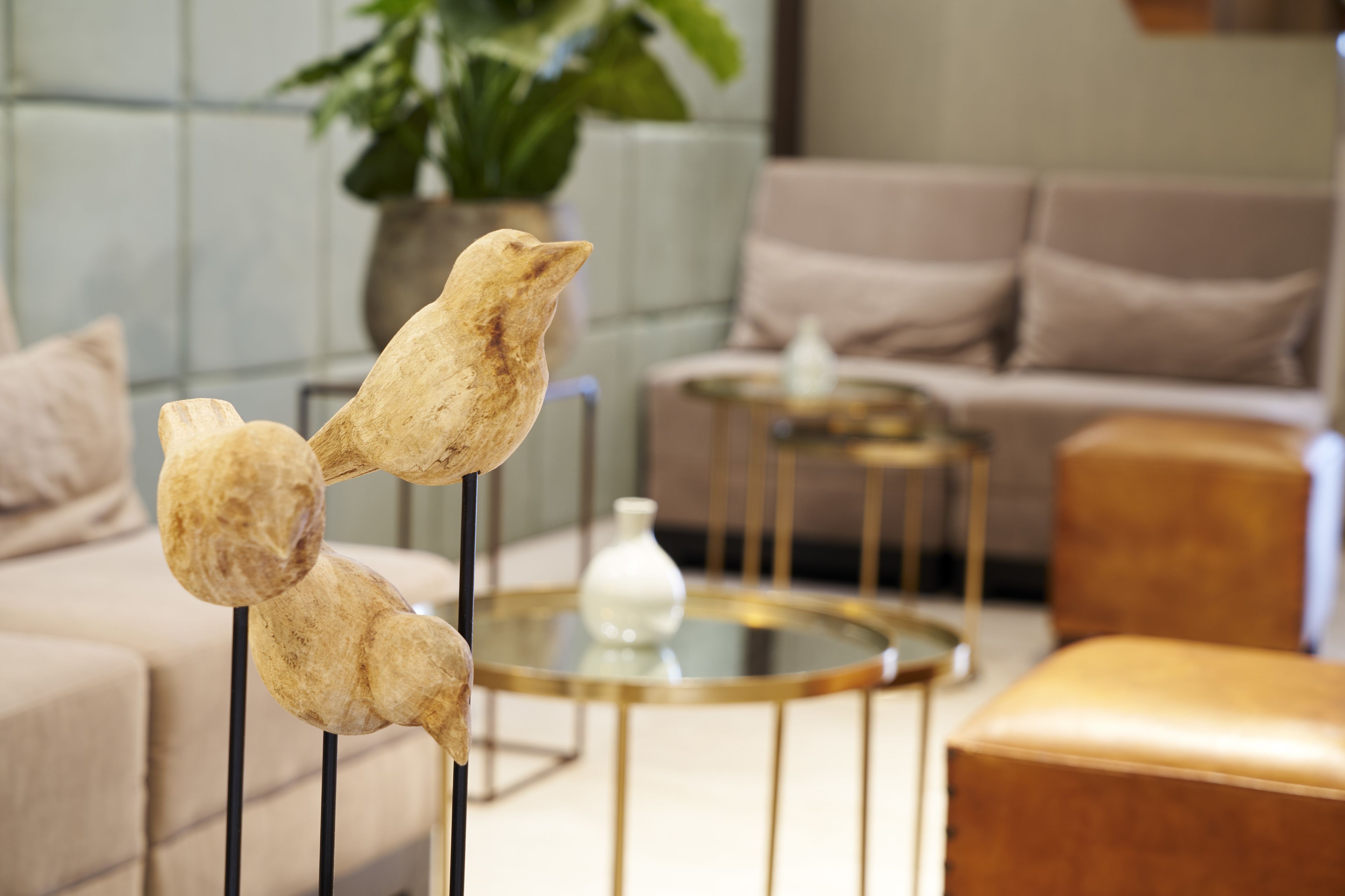 Foto - Hotel The Bird