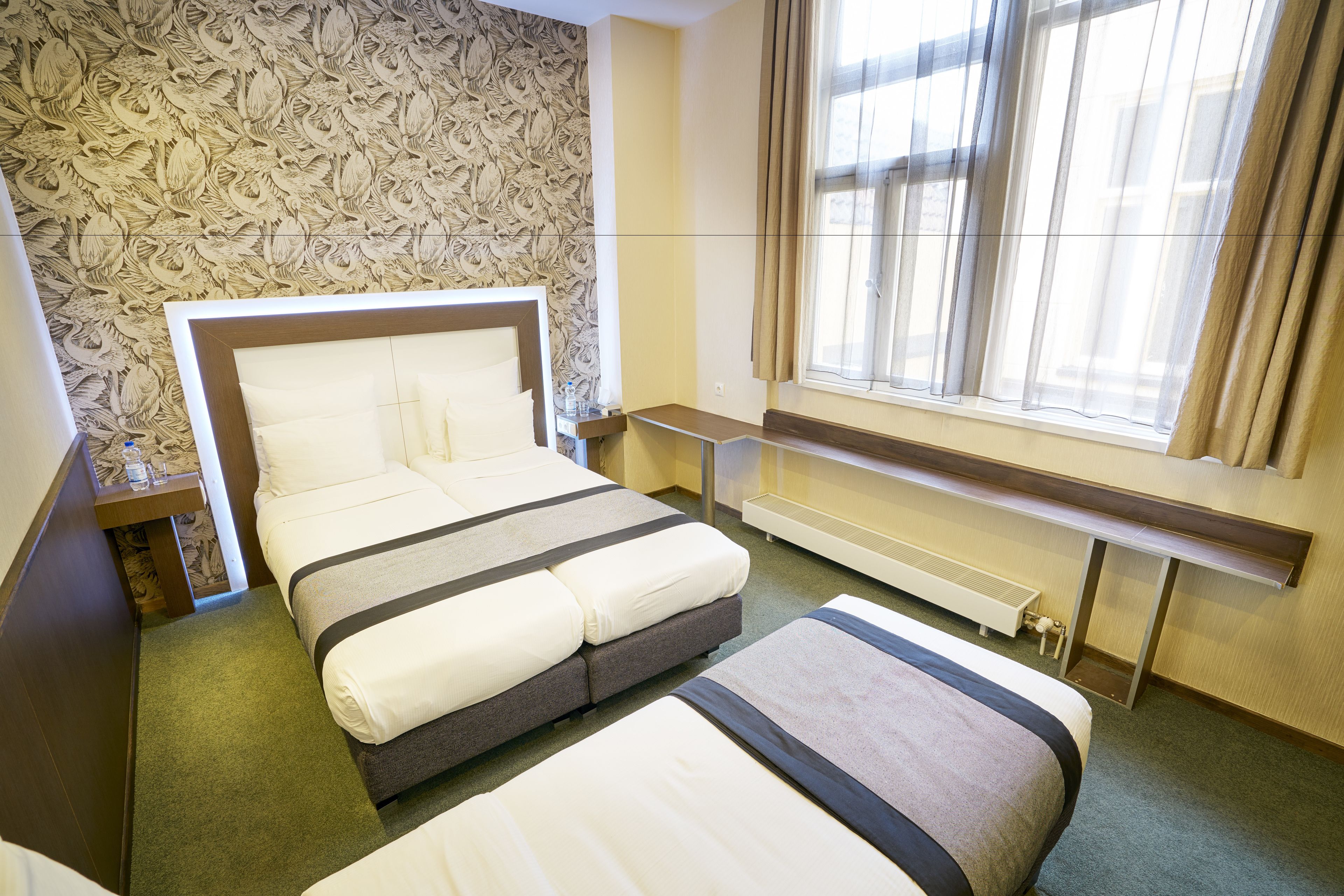 Foto - Hotel The Bird