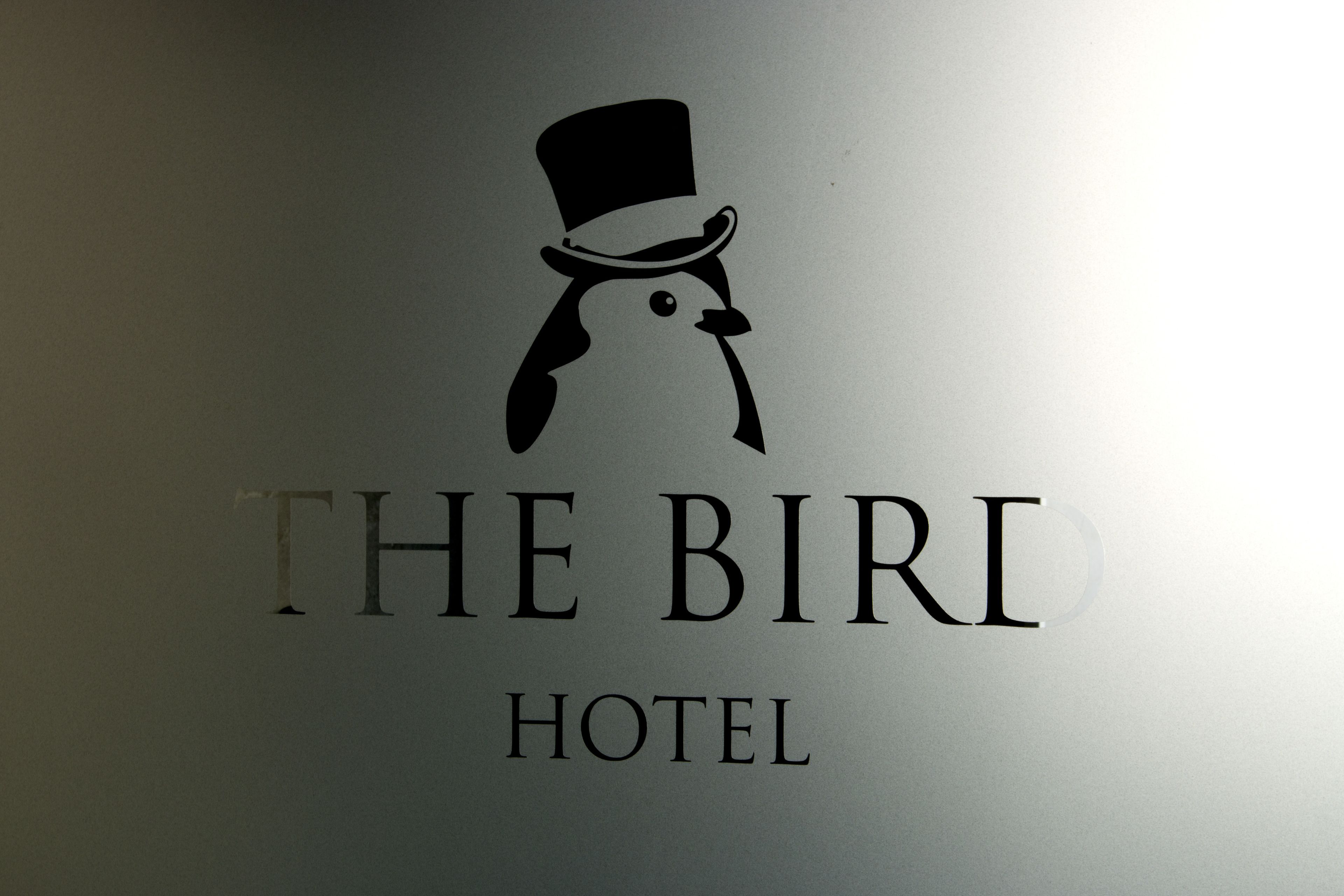 Foto - Hotel The Bird