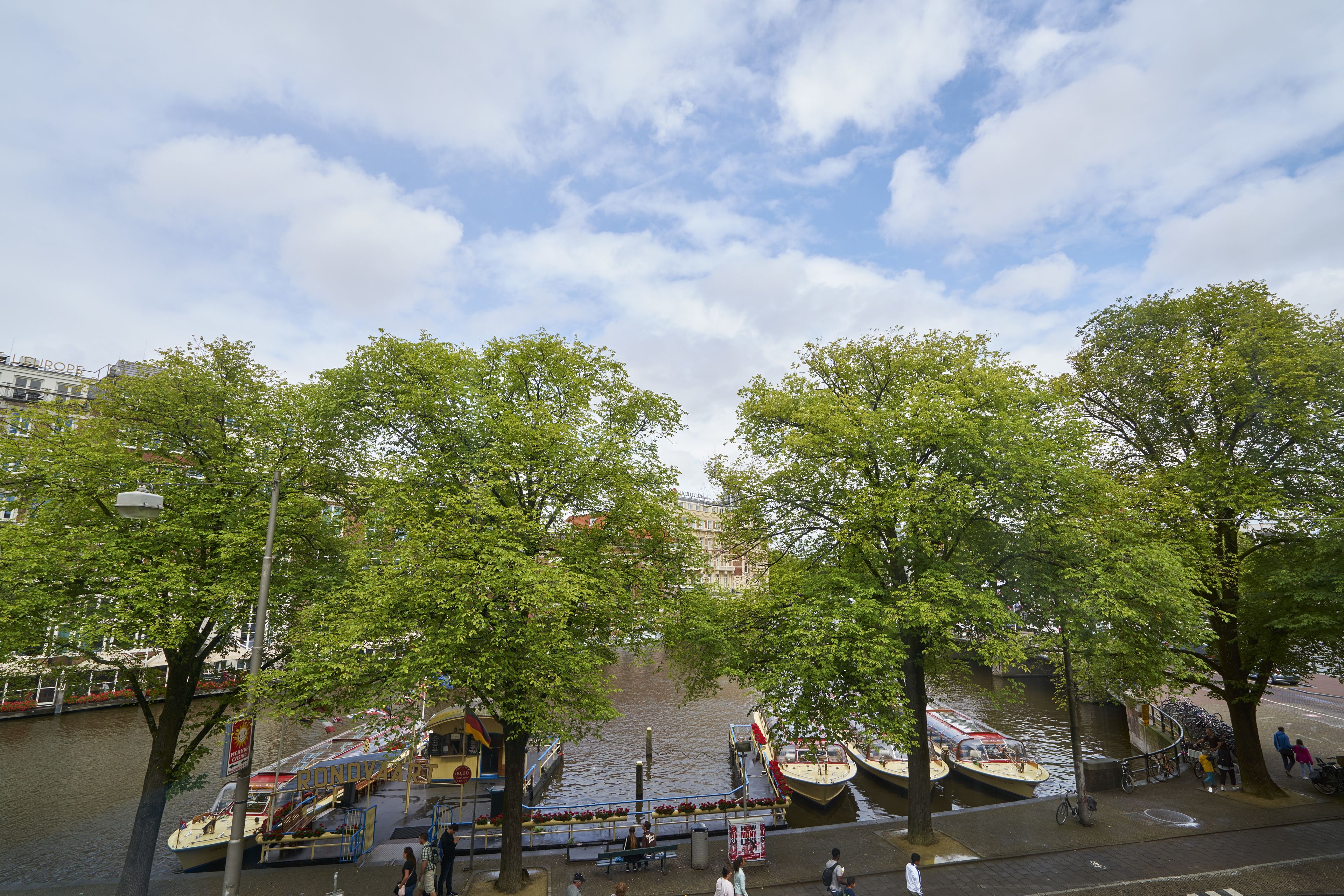 Foto - Hotel The Bird