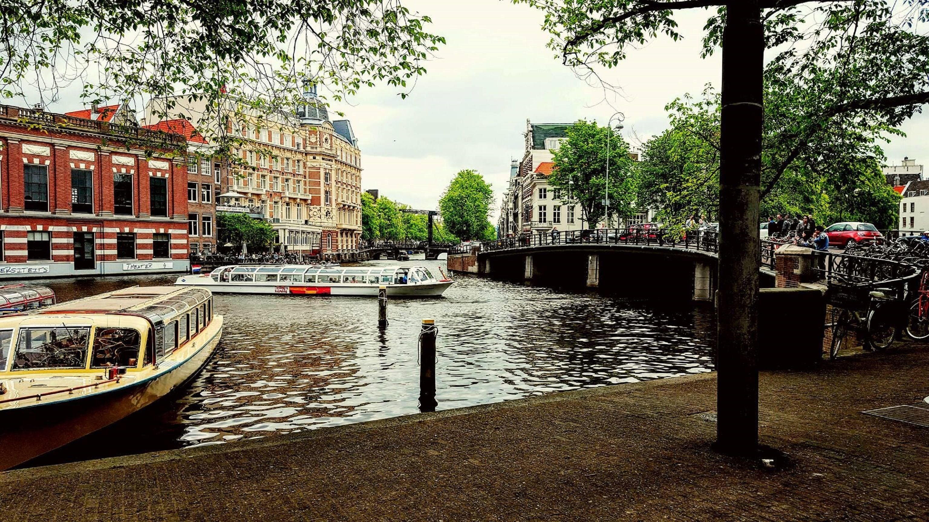 Foto - Hotel The Bird