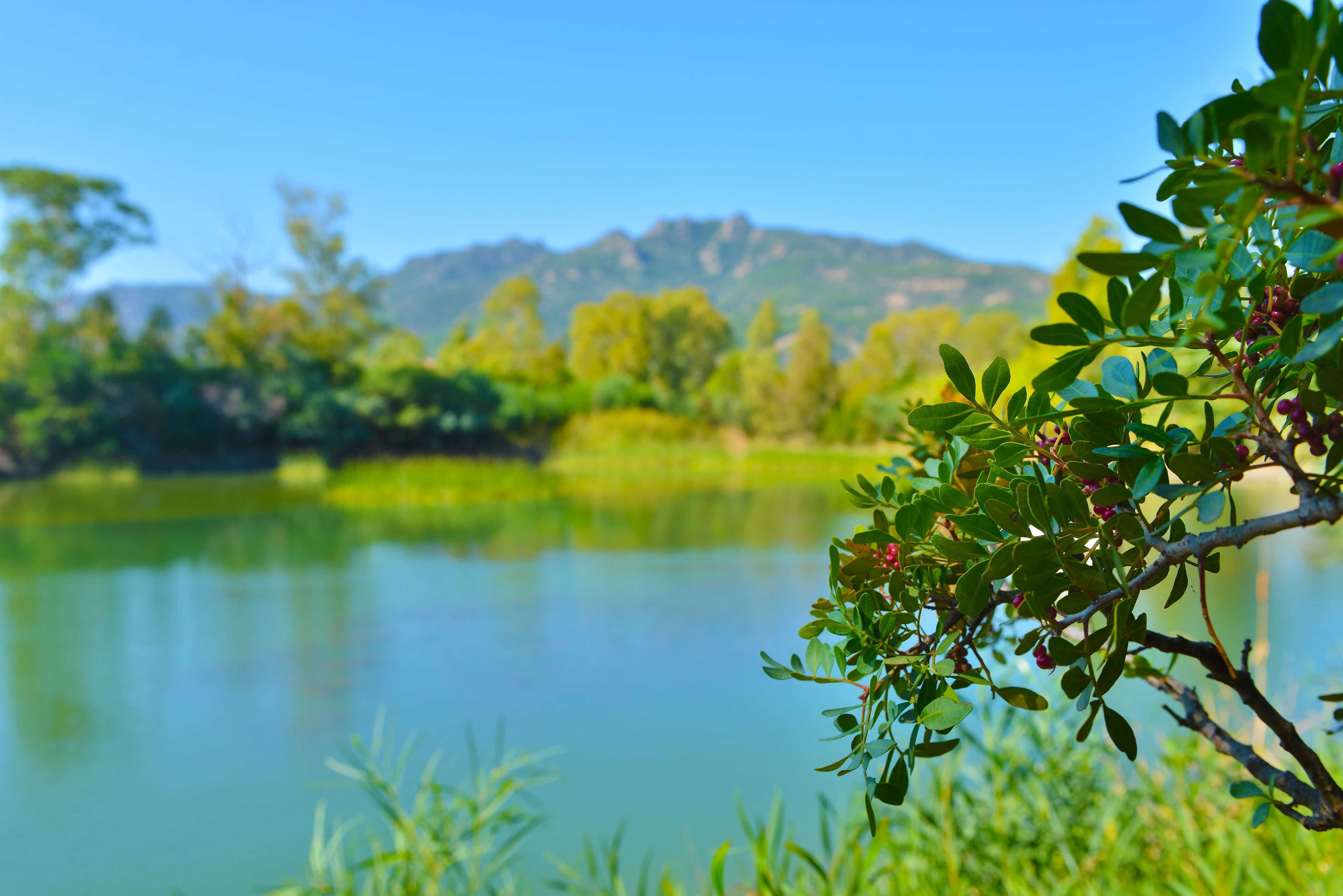 A serene lake with lush greenery and hills in the background.