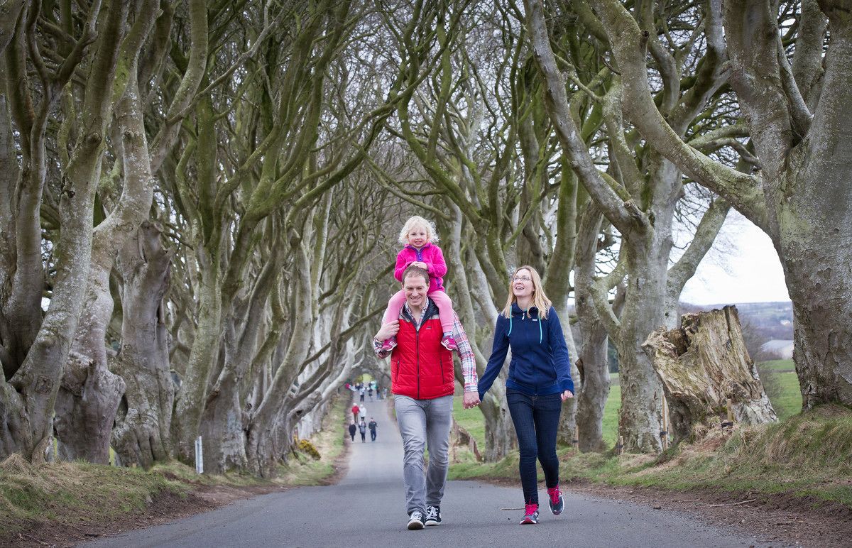 A pathway lined with large, twisted trees.