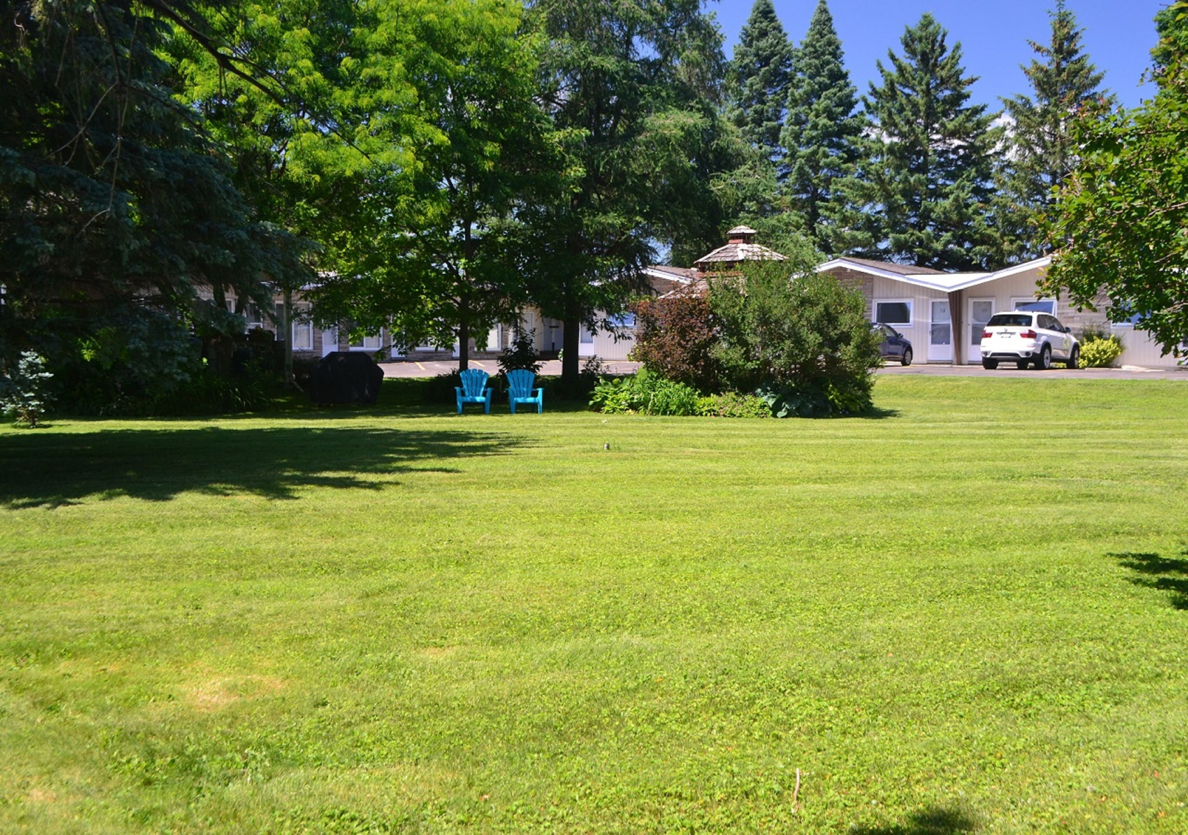 A grassy area with a house and two blue chairs in the background.