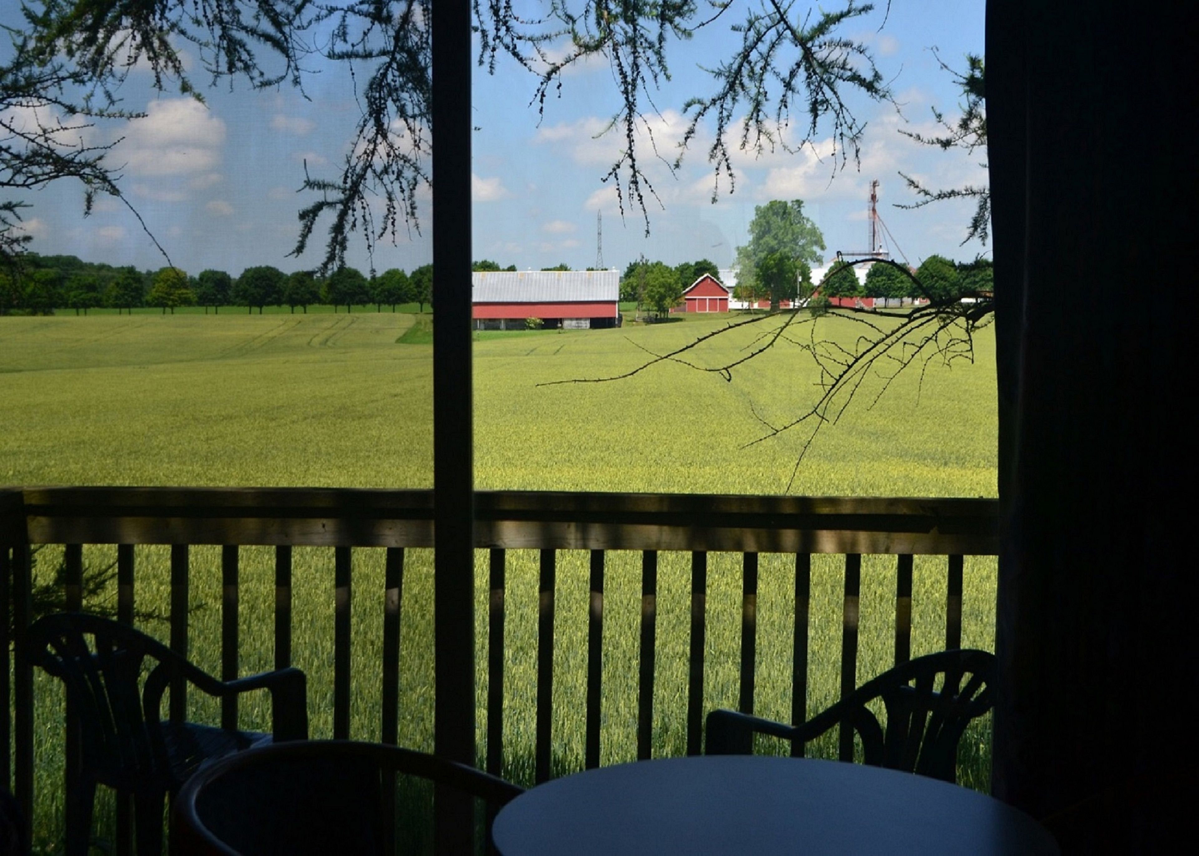 Standard Room, 2 Double Beds