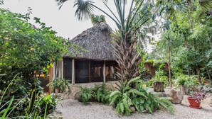 A rustic thatched-roof hut with a gravel path leading to it, surrounded by lush greenery and various potted plants.