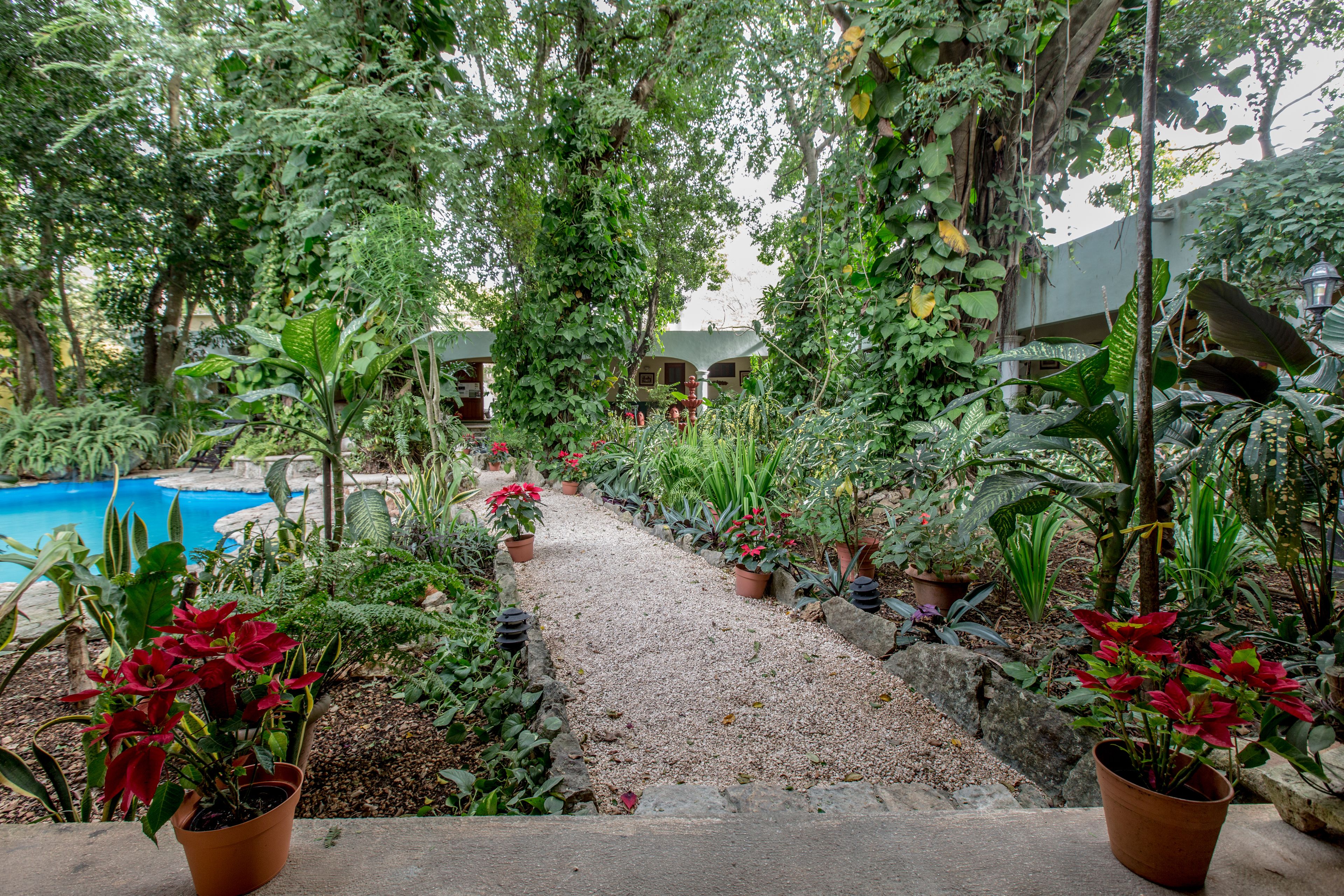 Photo - Casa Quetzal Hotel
