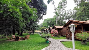 Taman