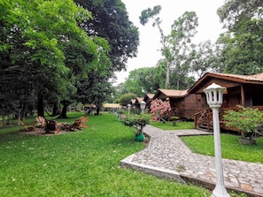 Puutarha