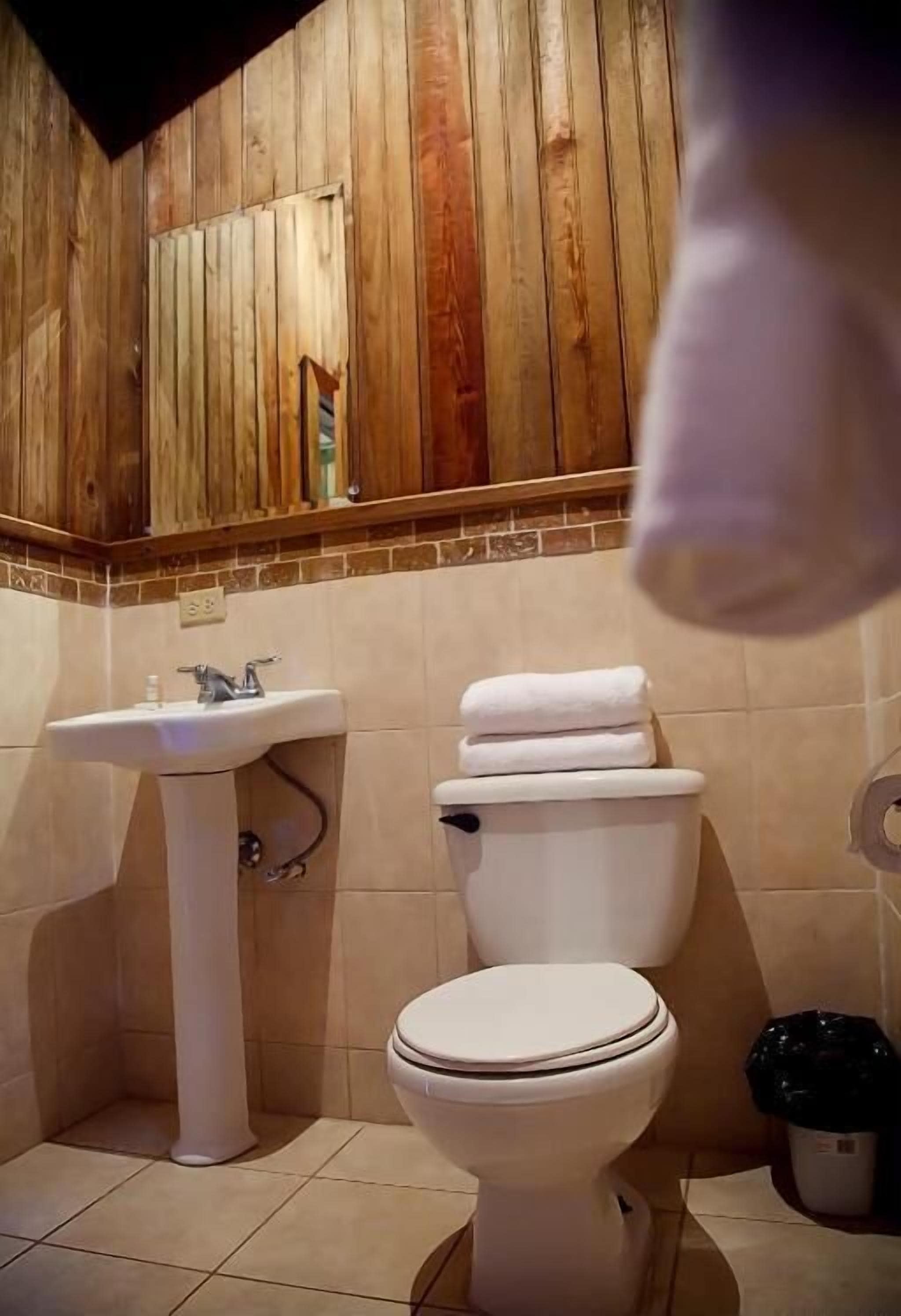 shower, free toiletries, towels