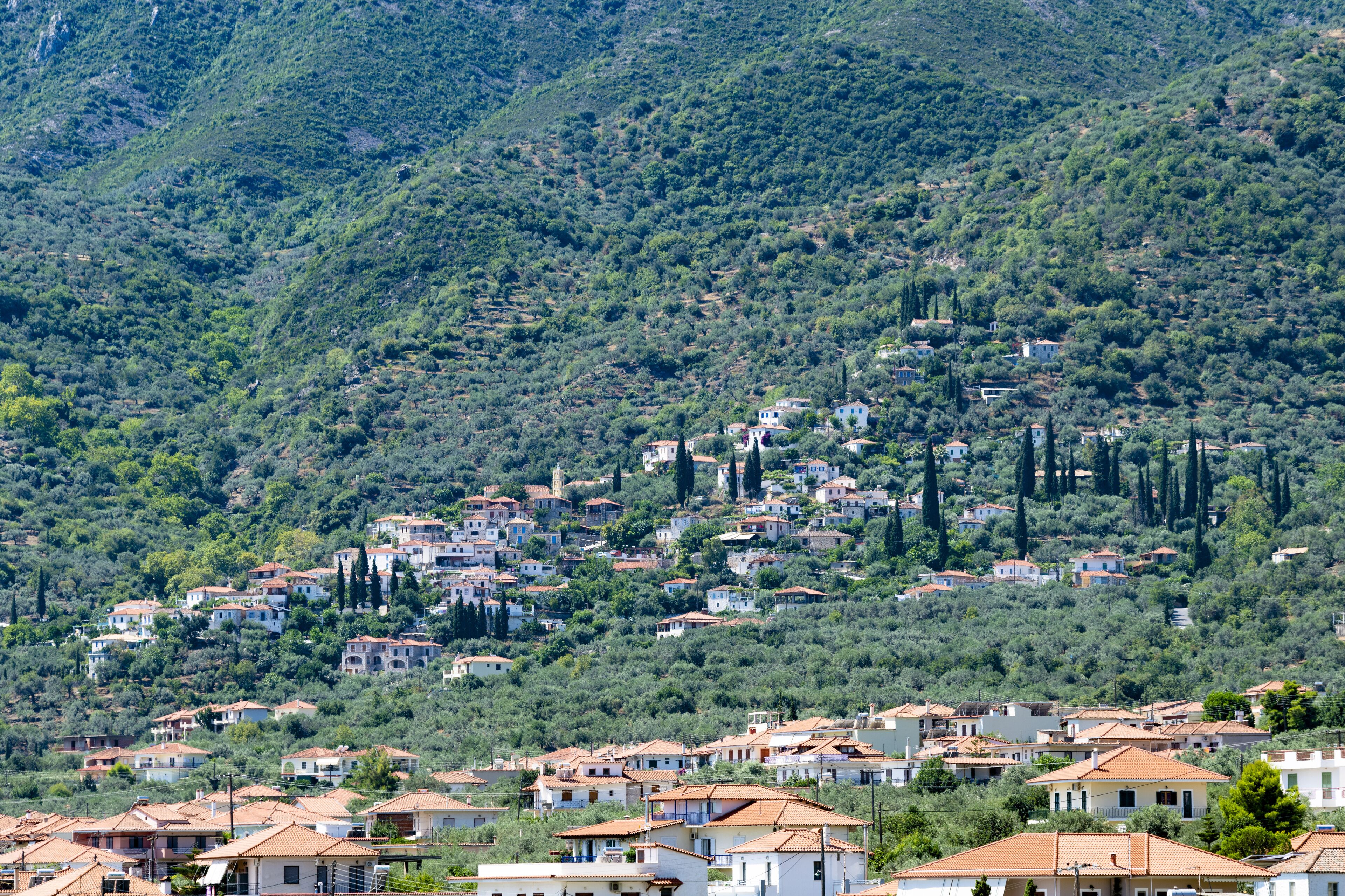 land view from property