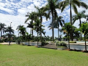 Zona ajardinada con palmeras, piscina y mobiliario exterior.