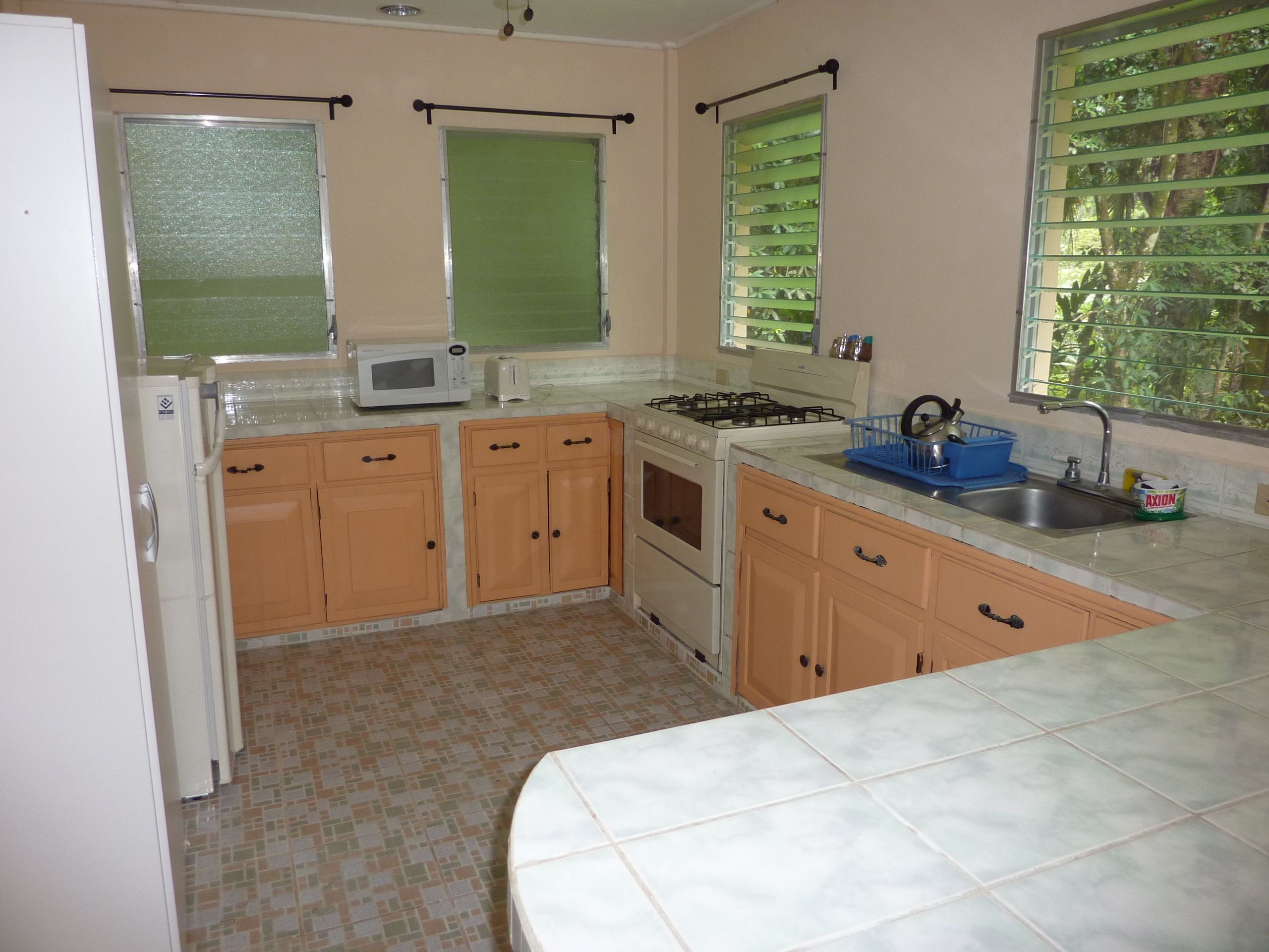 A compact kitchen with a refrigerator, microwave, stove, and sink.