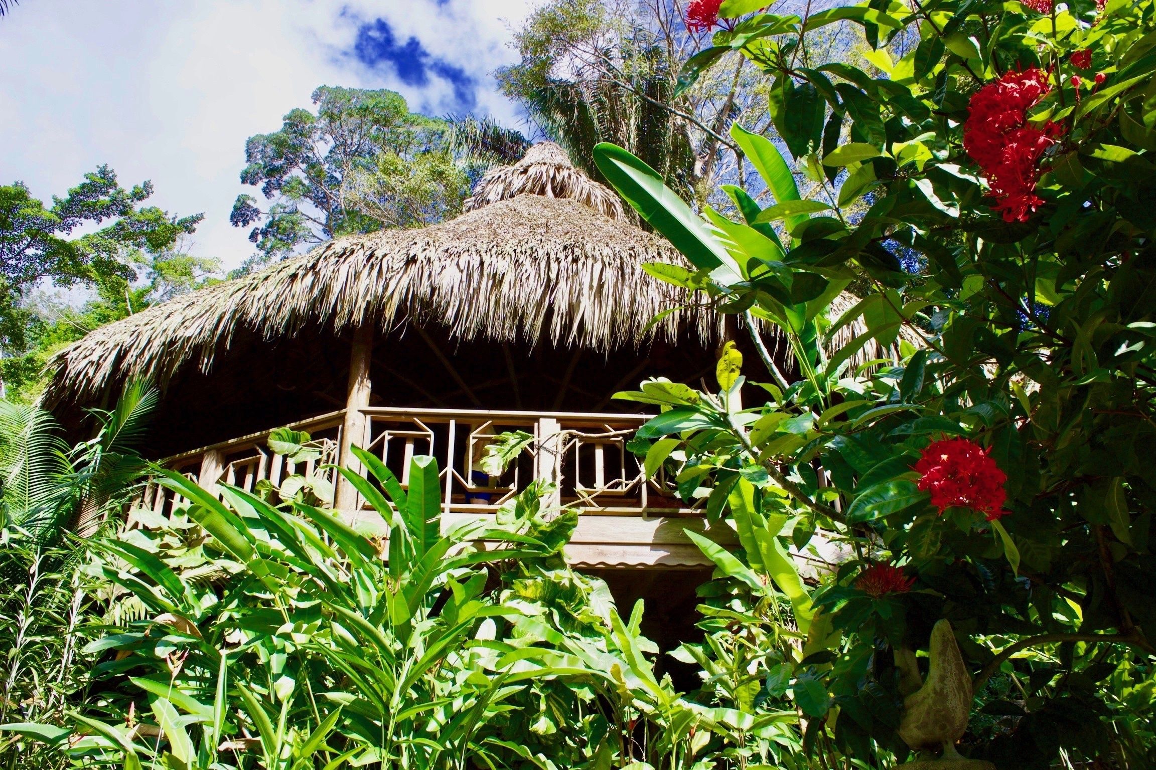 Una estructura con techo de paja rodeada de vegetación exuberante y flores rojas.