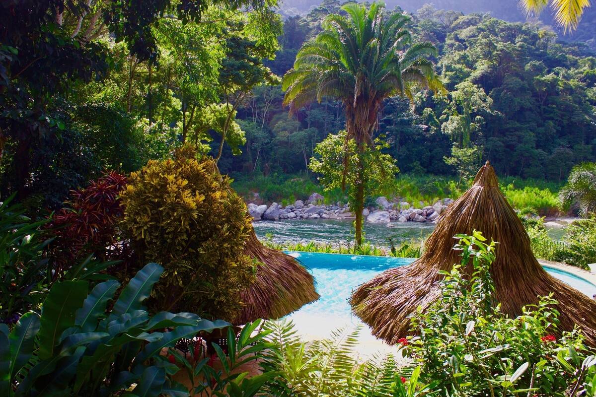 Um jardim tropical exuberante com piscina, cercado por folhagem densa e palmeiras.