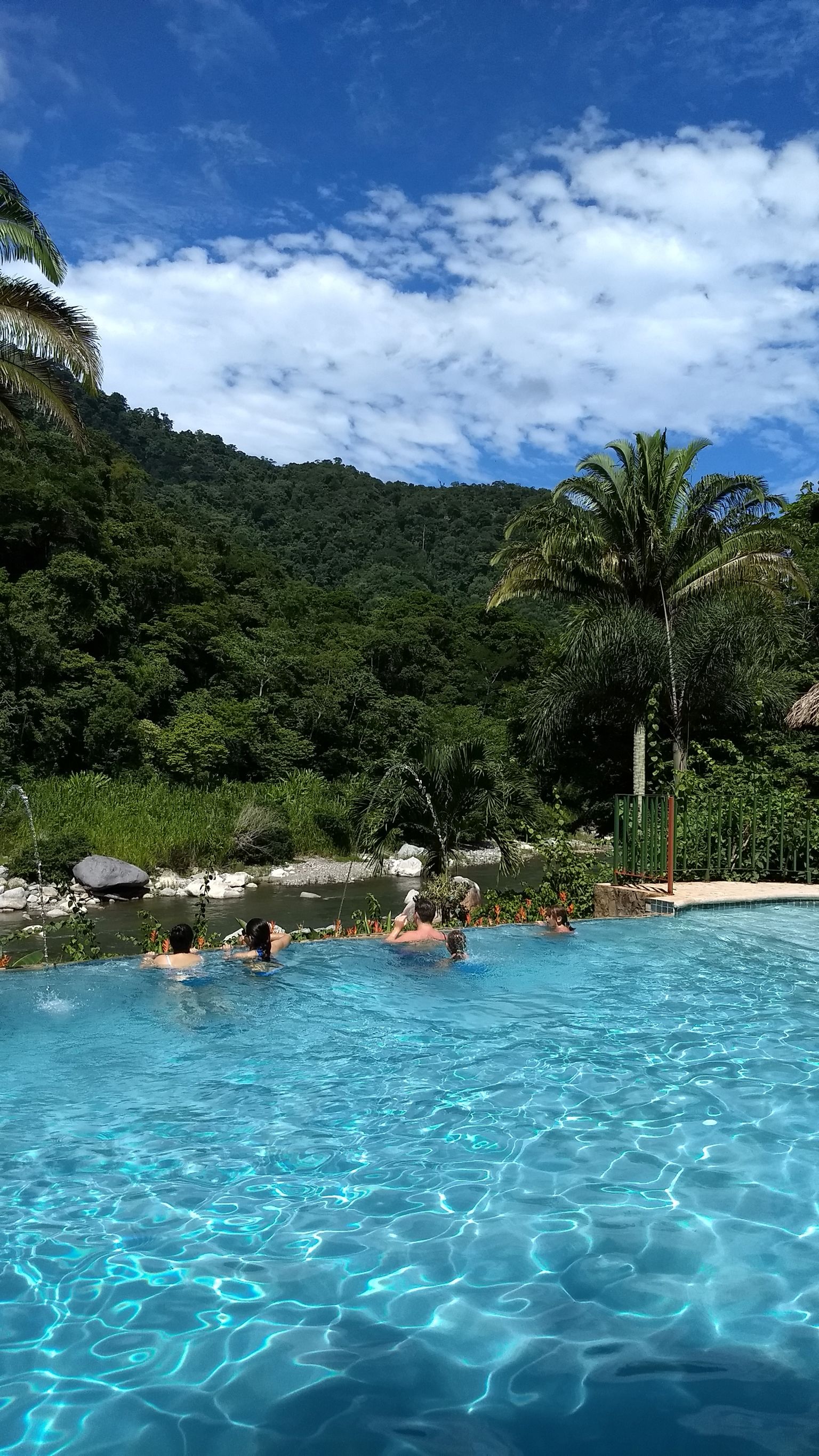 A clear blue pool surrounded by lush greenery and a mountainous backdrop.