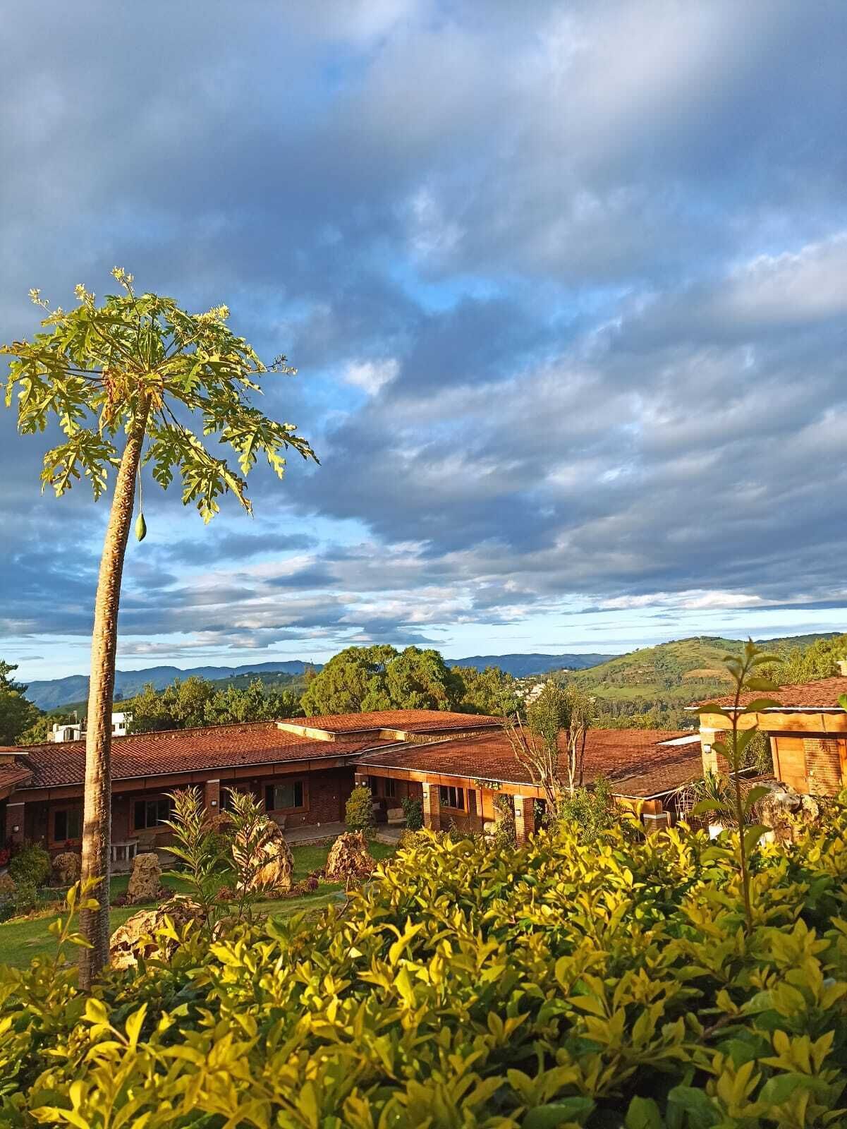 Entorno rural con edificios tradicionales, una palmera destacada y un paisaje montañoso al fondo.