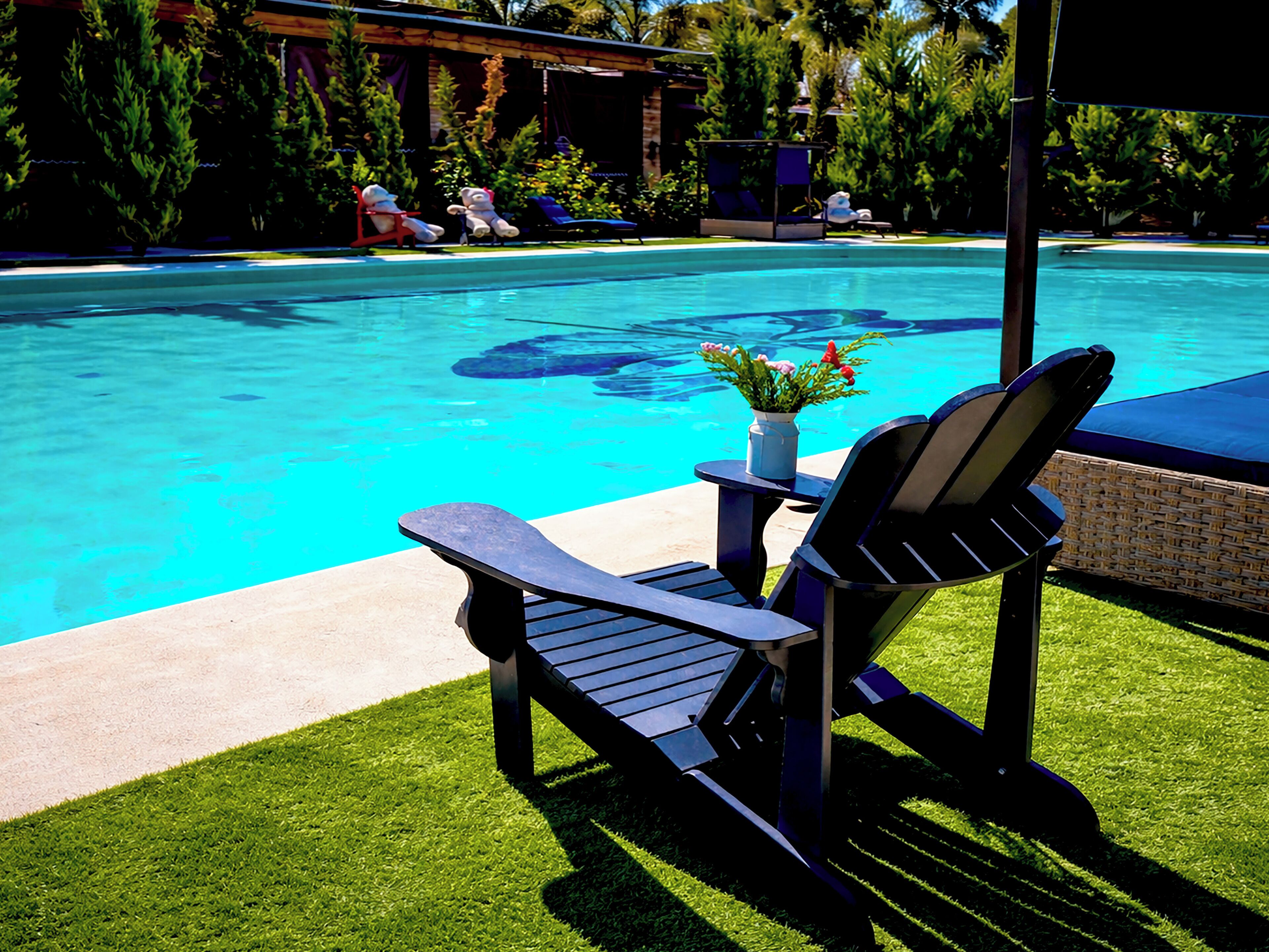 Una piscina al aire libre, sombrillas, sillones reclinables de piscina