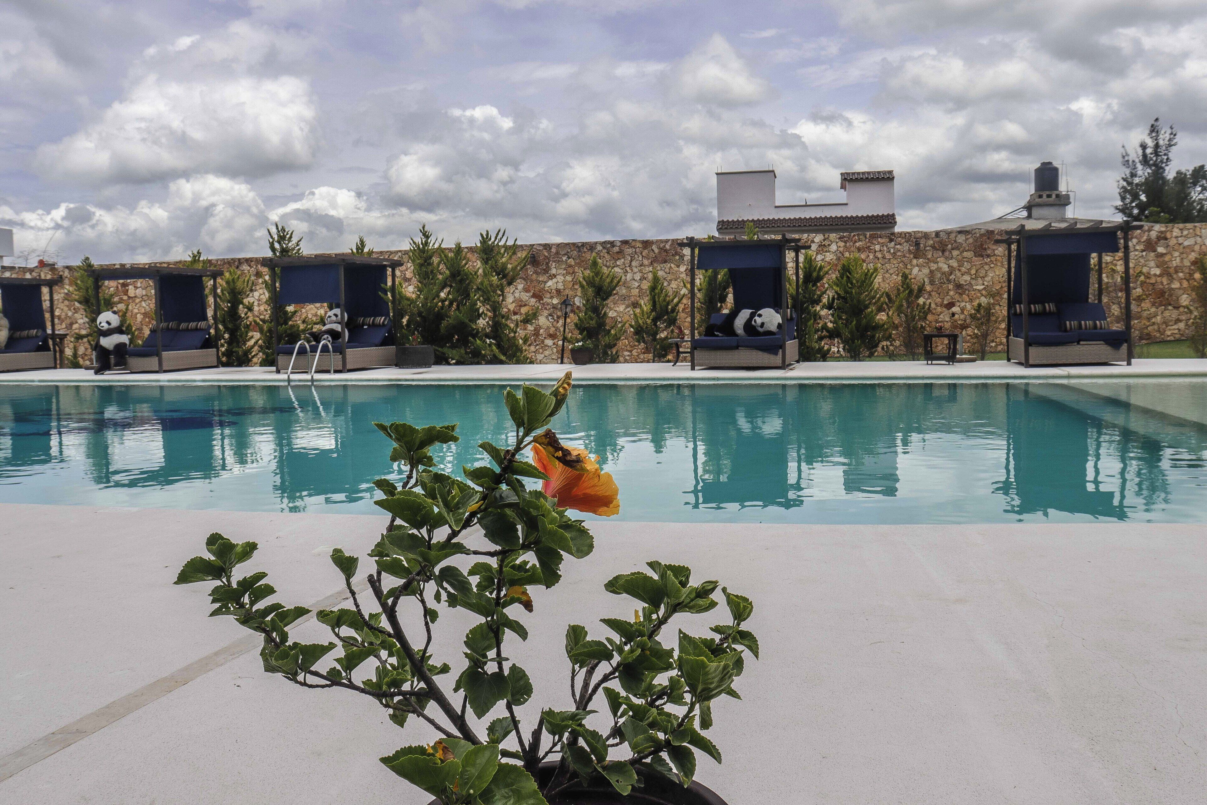 A pool area with lounge chairs and a stone wall.