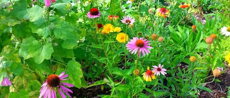 Un jardín con diversas flores y un arroyo.