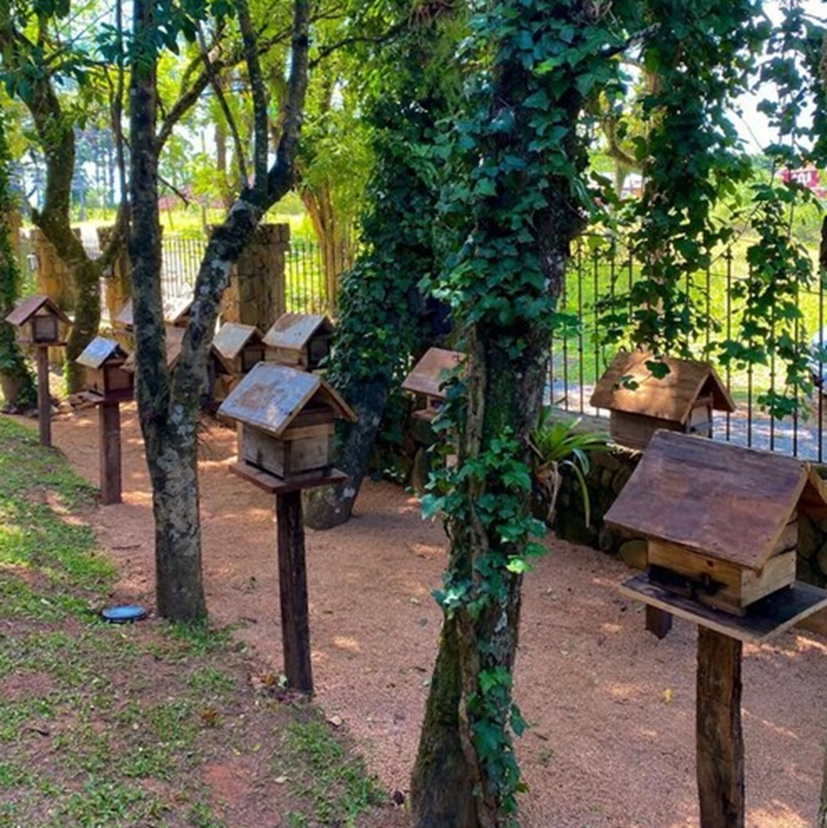 Caserones de madera sujetos a árboles en un jardín.