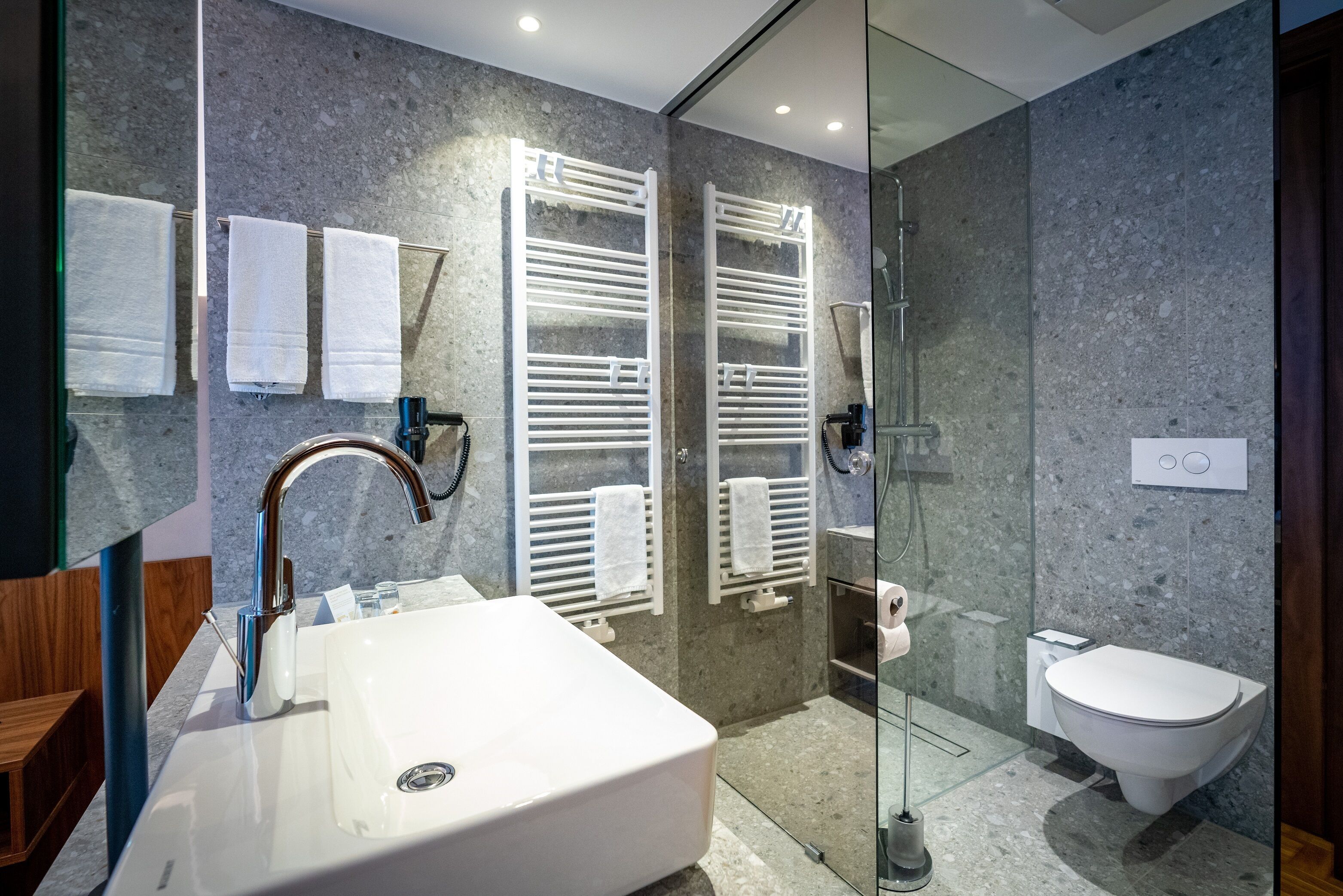 A modern bathroom with a large sink, towel racks, a glass shower enclosure, and a toilet.