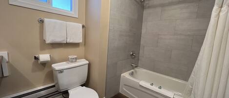 A bathroom with a toilet, a bathtub, and a shower.