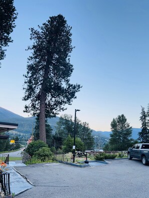 View from property - Villa Motel (Nelson)