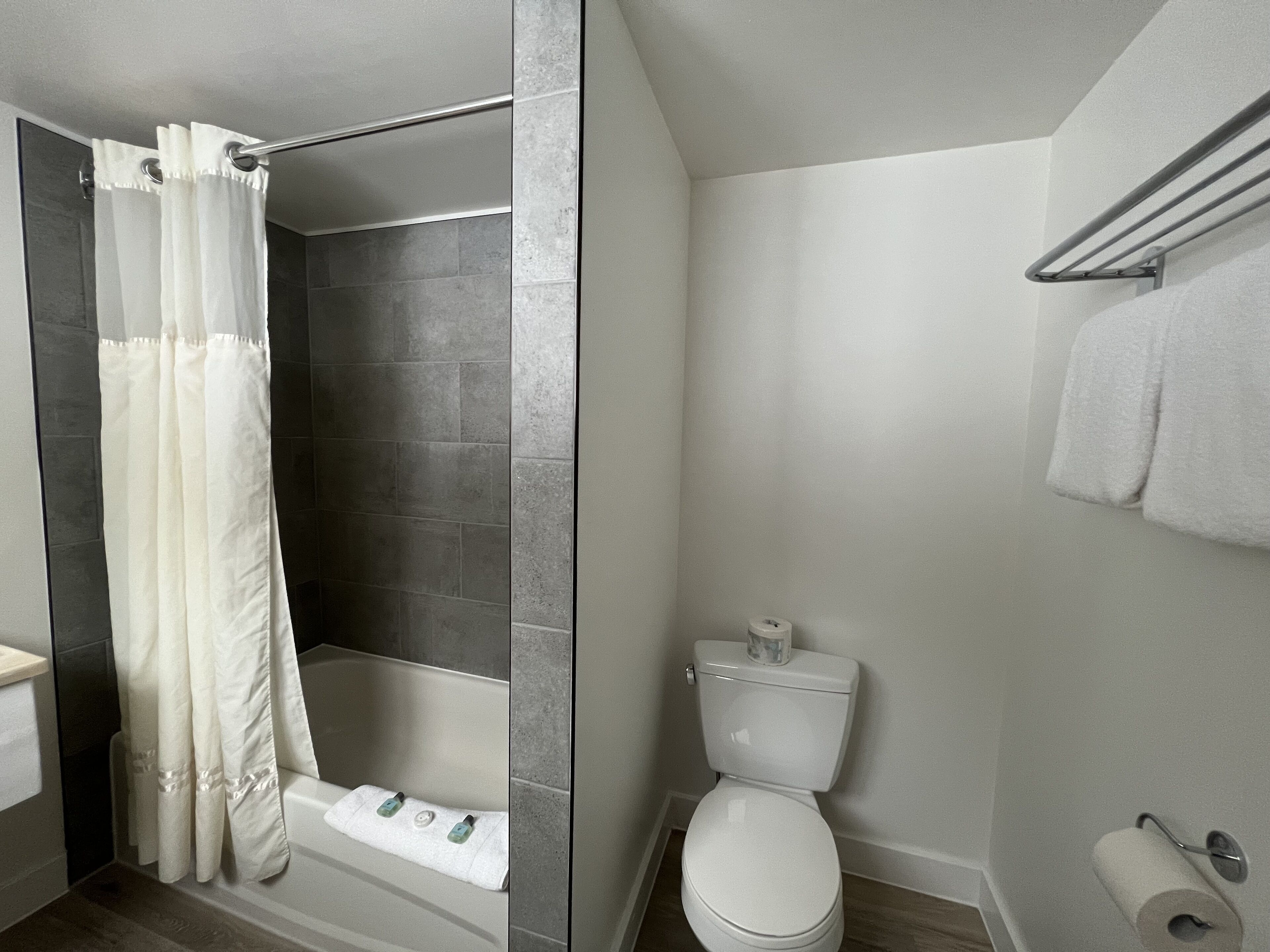 Een badkamer met douche, toilet en handdoekhouder.