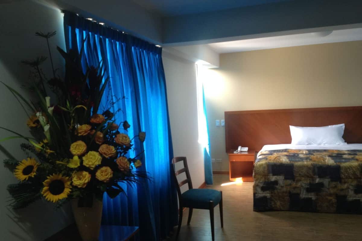 Blackout curtains, iron/ironing board, free WiFi, bed sheets