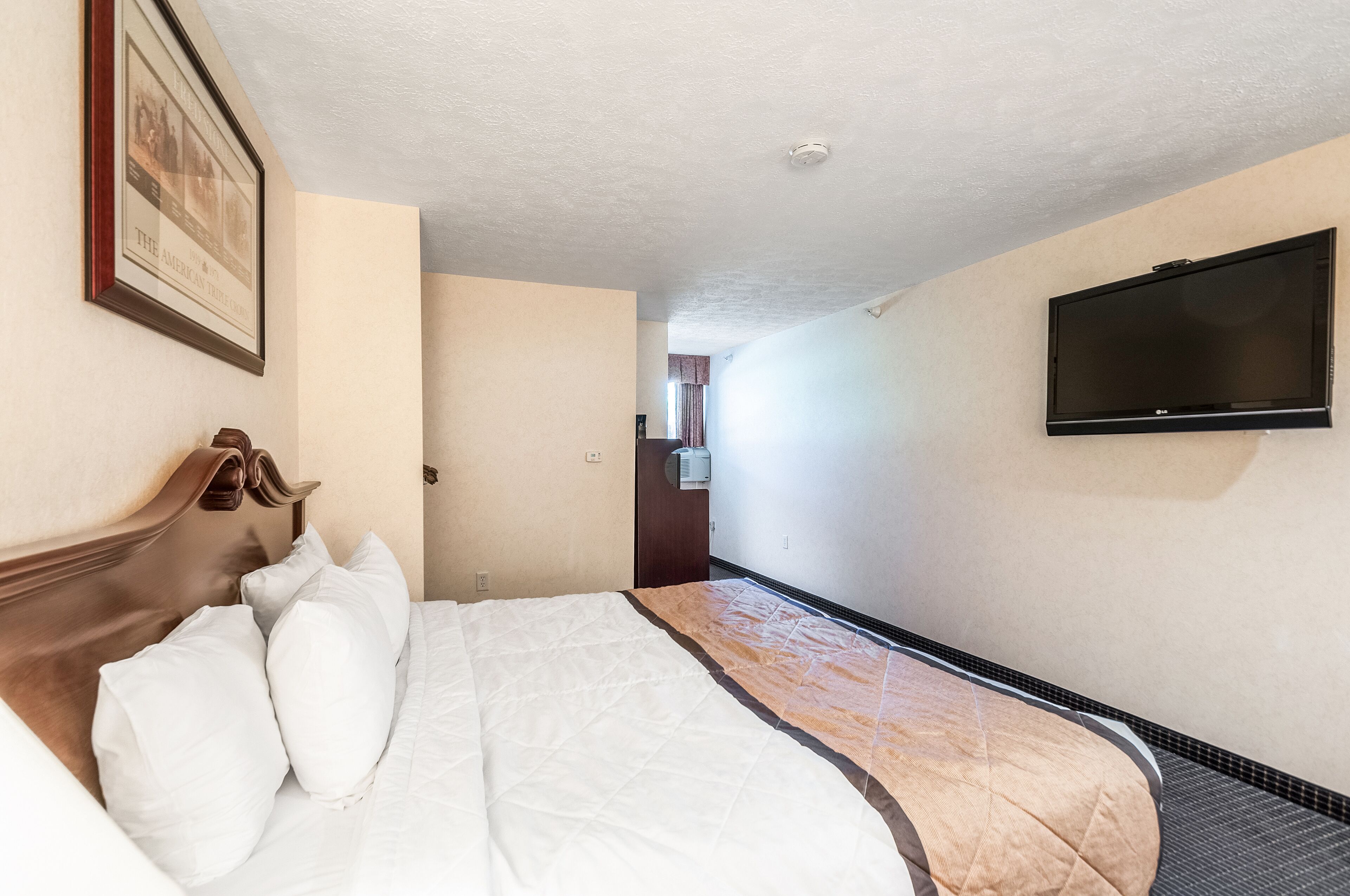 A hotel room with a bed, a television mounted on the wall, and a framed picture on the wall.