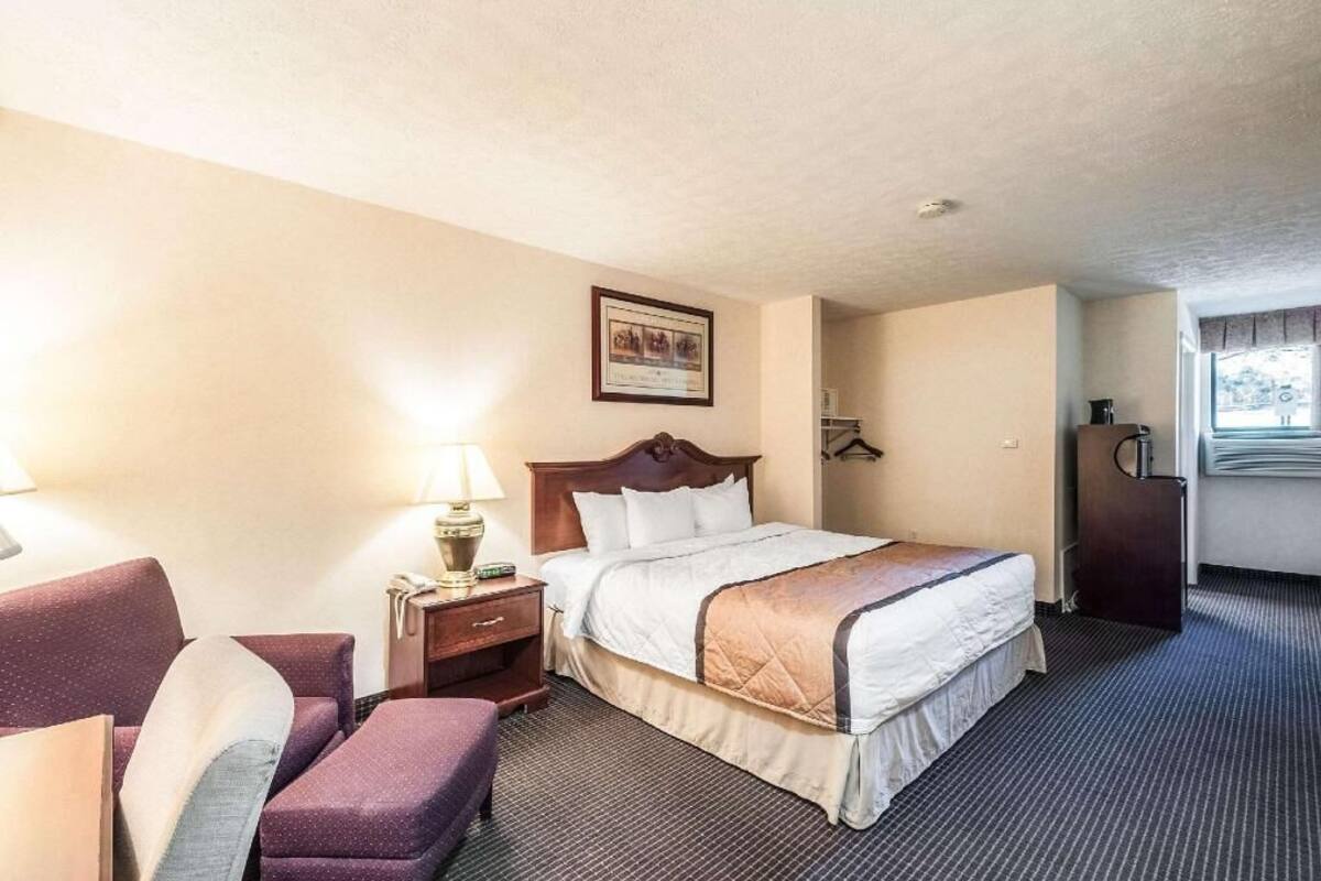 A hotel room with a bed, a nightstand, a chair, a desk, and a window.