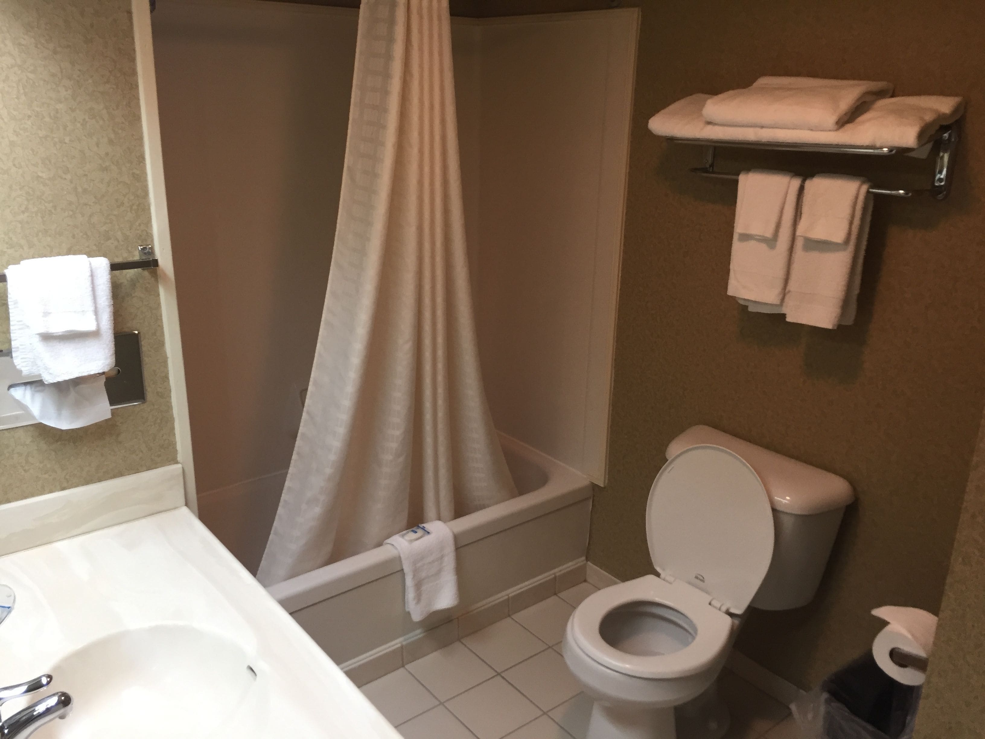 Un bagno con vasca, WC e lavandino. Asciugamani su un portascopevoli e un cestino.