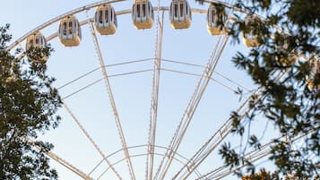 Una noria con cabinas, rodeada de árboles.