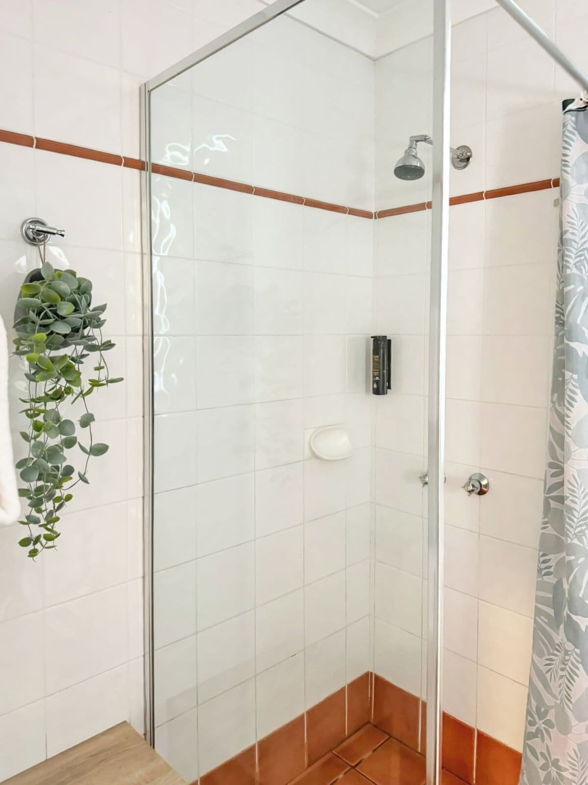 Eine gläserne Dusche mit weißen Fliesen und einer braunen Umrandung, ein Seifenspender und ein Blumentopf.