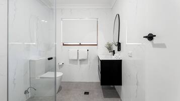 A modern bathroom with a glass shower enclosure, a white toilet, a black sink, and a mirror.