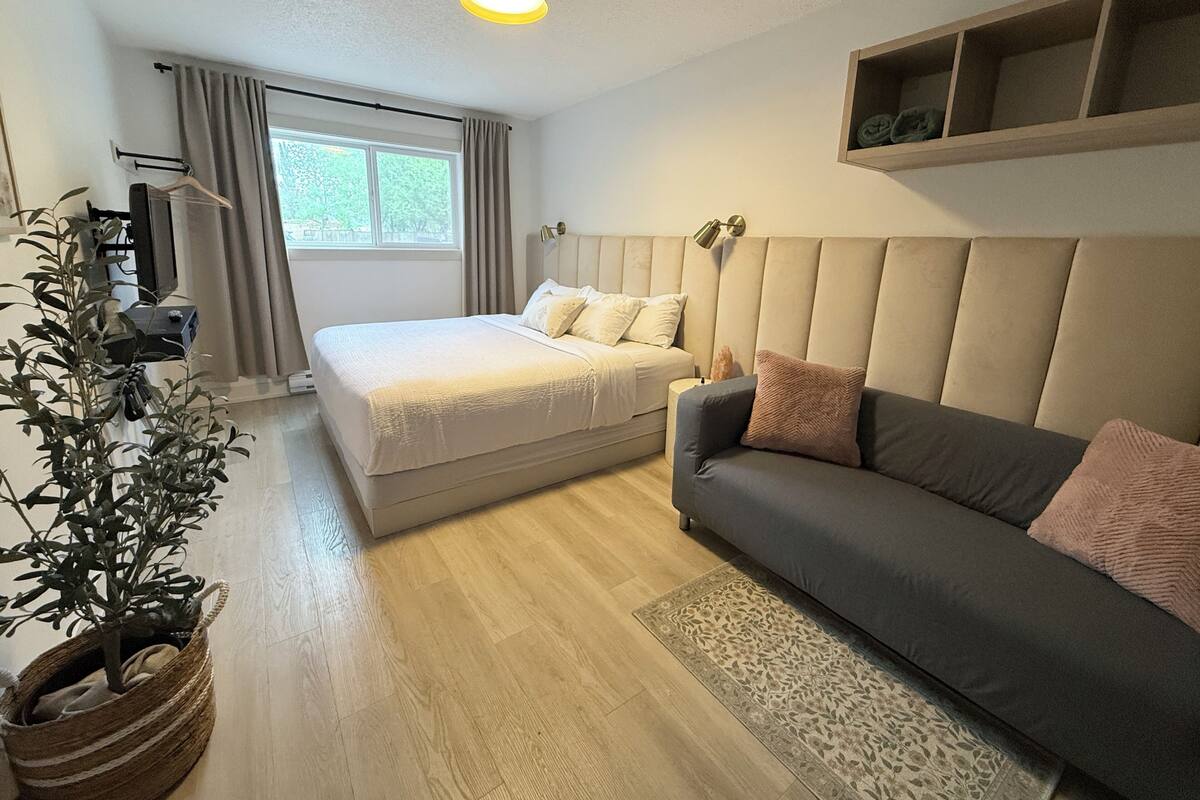 A bedroom with a bed, a sofa, a potted plant, a ceiling light, and a window.