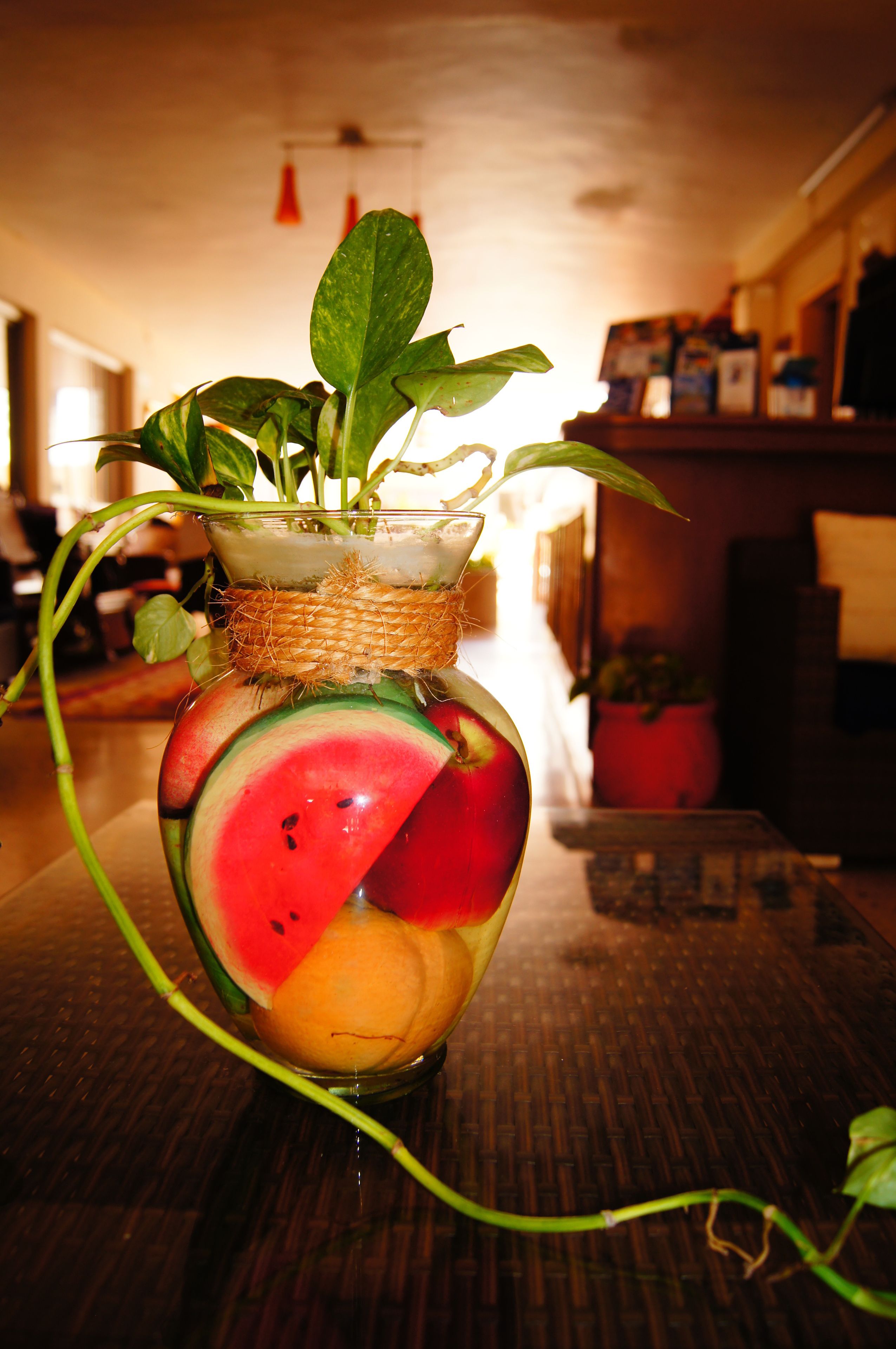 Foto - Hotel Mary Carmen