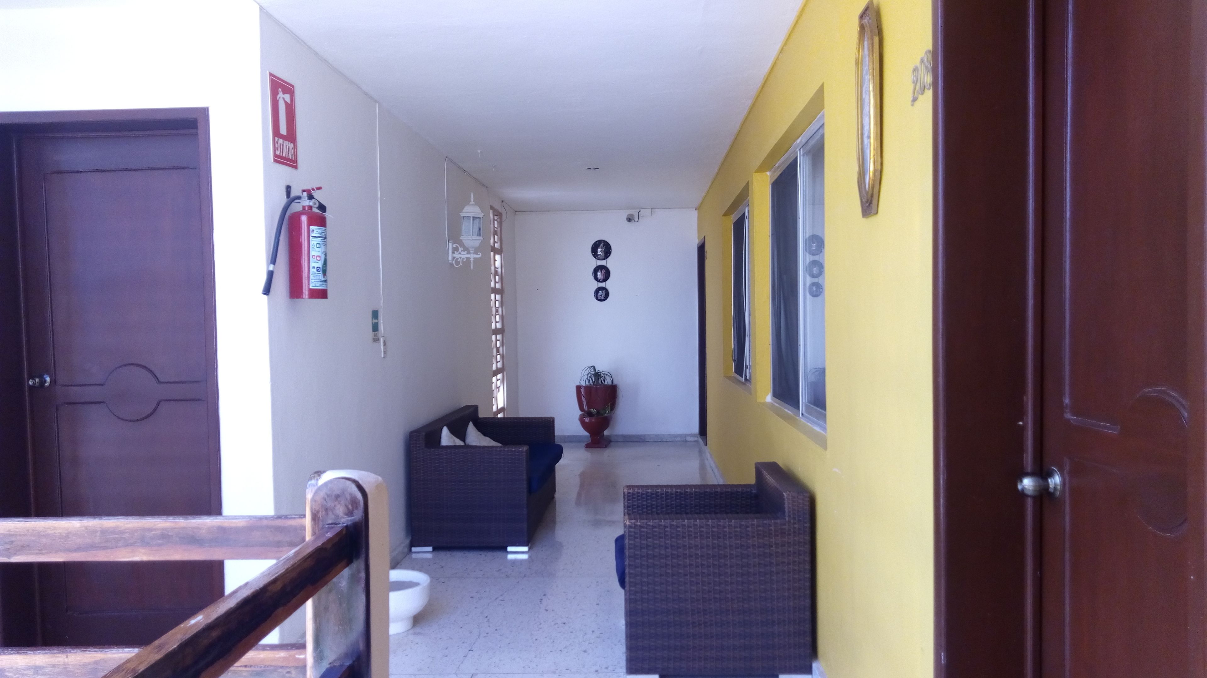 A hallway with a fire extinguisher, a potted plant, and a door on the left.