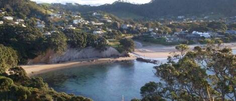 A coastal landscape with a beach, houses, and dense greenery.