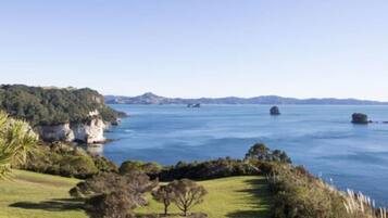 A coastal landscape with cliffs, a calm sea, and a grassy area with trees.