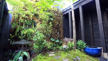 庭院