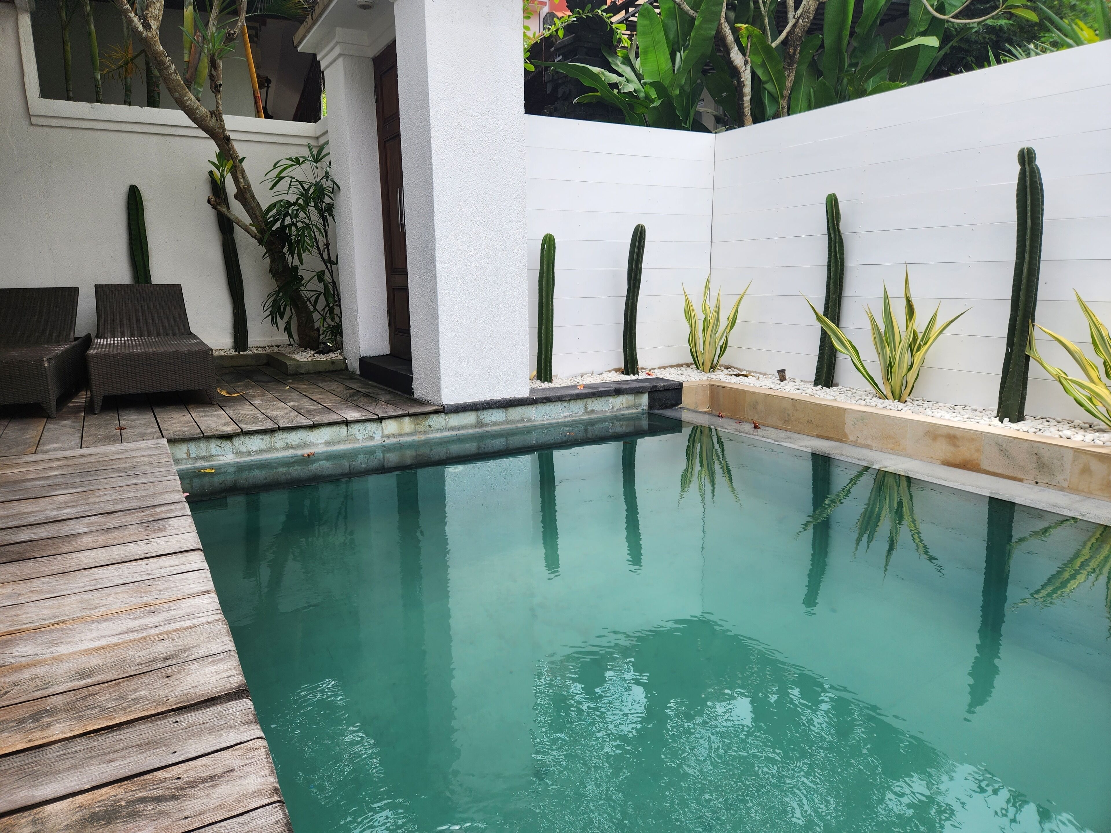 Photo - The Calmtree Bungalows