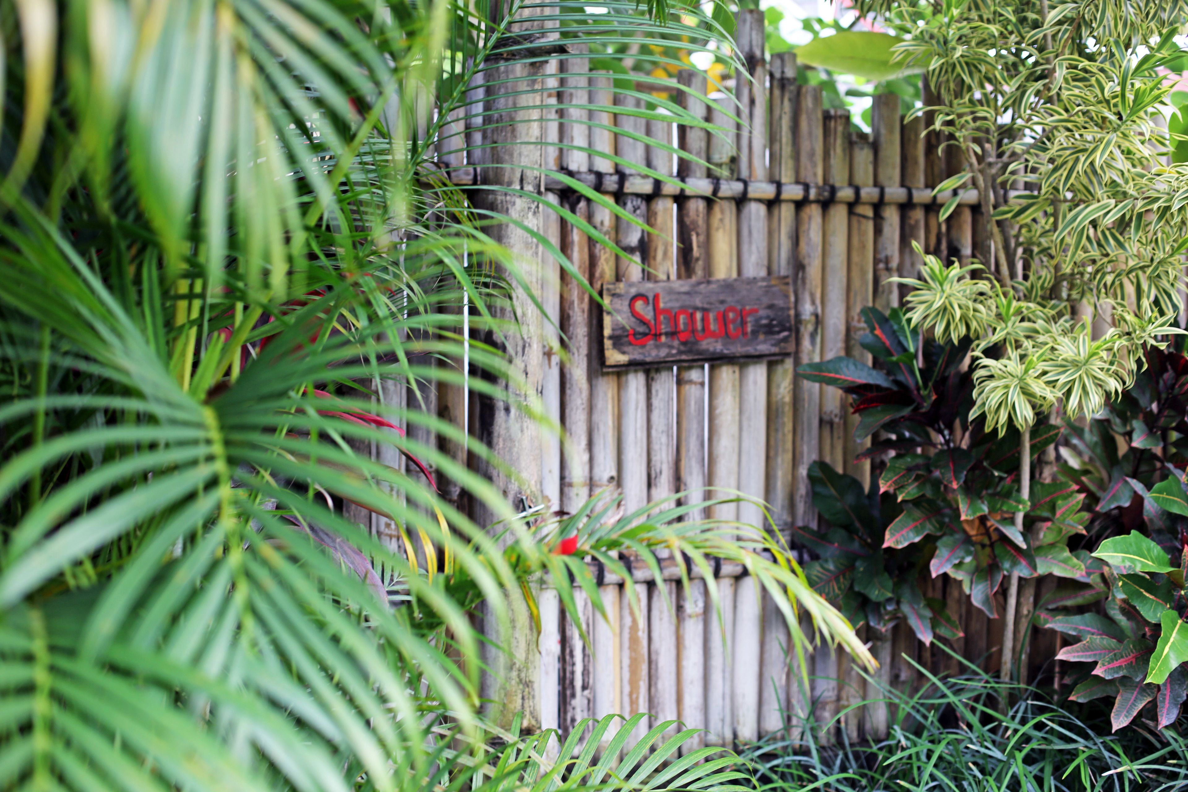 Photo - The Calmtree Bungalows