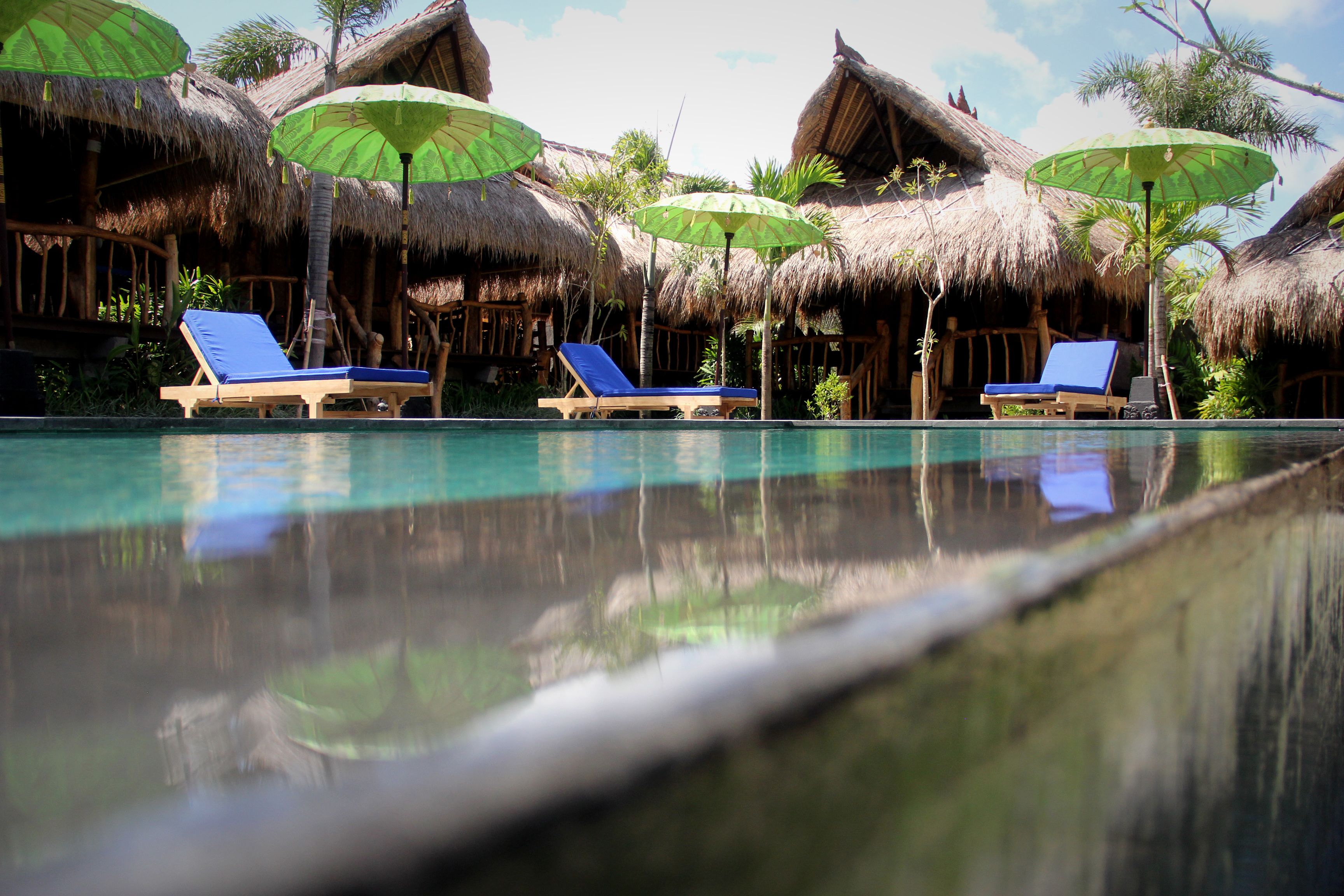 Photo - The Calmtree Bungalows