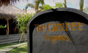 Property grounds - The Calmtree Bungalows (Canggu)
