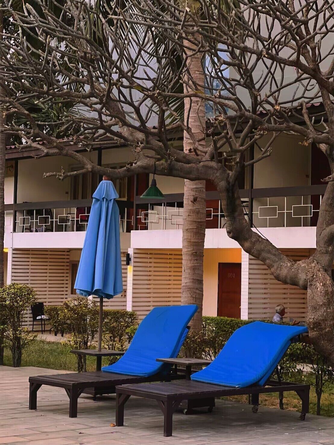 43-inch LED TV with cable channels, TV