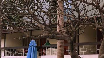 43-inch LED TV with cable channels, TV