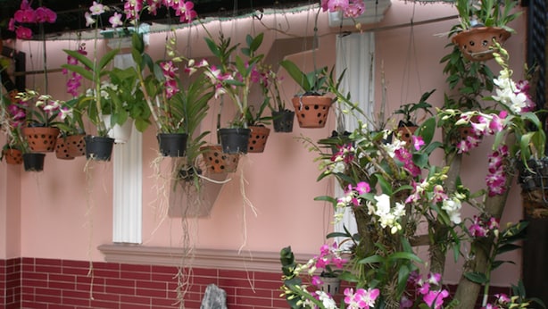 Detalle del exterior