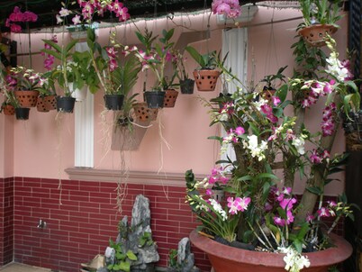 Thien Vu Hotel